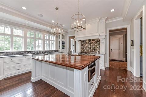 602 Greenway St, Davidson, NC 28036 photo 12