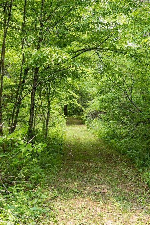 2391 Paint Fork Rd, Mars Hill, NC 28754 photo 39