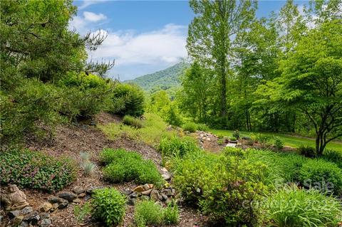 2391 Paint Fork Rd, Mars Hill, NC 28754 photo 7