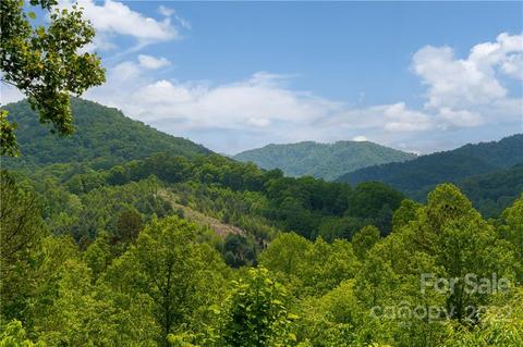 2391 Paint Fork Rd, Mars Hill, NC 28754 photo 38