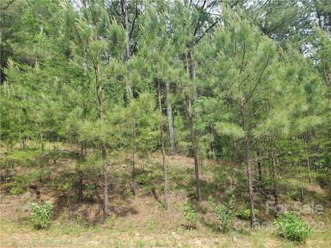 0 Sunset Dr #13, Mill Spring, NC 28756 photo 5