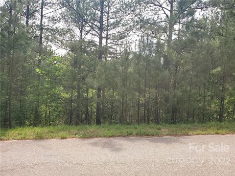 0 Sunset Dr #13, Mill Spring, NC 28756 photo 16