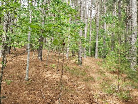 0 Sunset Dr #13, Mill Spring, NC 28756 photo 9