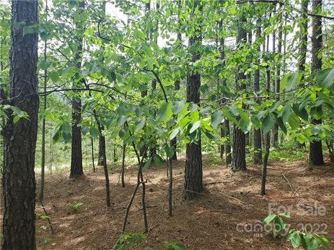 0 Sunset Dr #13, Mill Spring, NC 28756 photo 13
