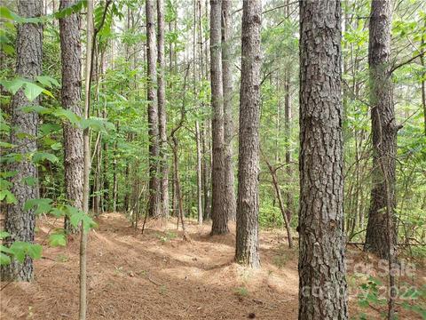 0 Sunset Dr #13, Mill Spring, NC 28756 photo 15