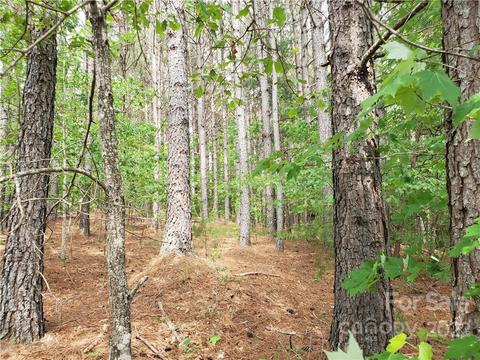 0 Sunset Dr #13, Mill Spring, NC 28756 photo 7