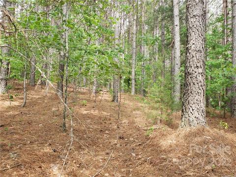0 Sunset Dr #13, Mill Spring, NC 28756 photo 8