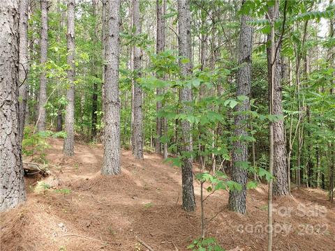 0 Sunset Dr #13, Mill Spring, NC 28756 photo 14