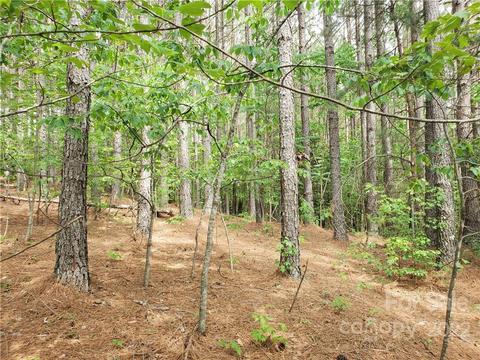 0 Sunset Dr #13, Mill Spring, NC 28756 photo 10