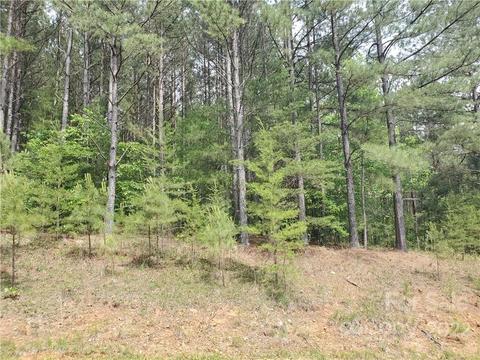 0 Sunset Dr #13, Mill Spring, NC 28756 photo 4