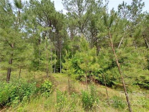 0 Sunset Dr #13, Mill Spring, NC 28756 photo 6