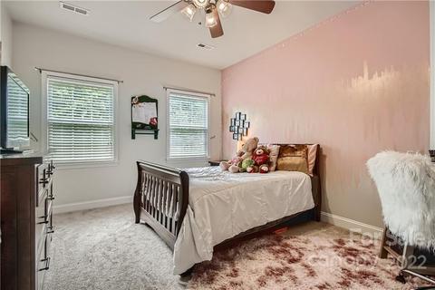 9728 Willow Leaf Ln, Cornelius, NC 28031 photo 19