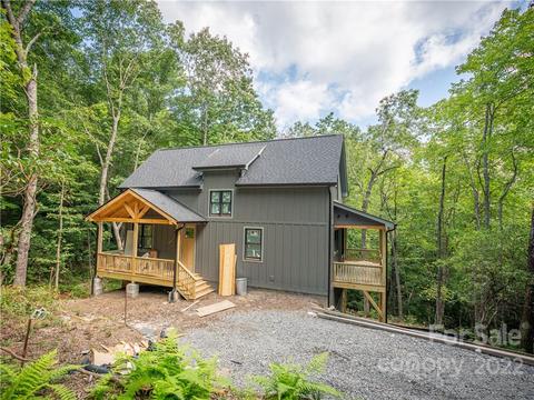 65 Guque Ct, Brevard, NC 28712 photo 3