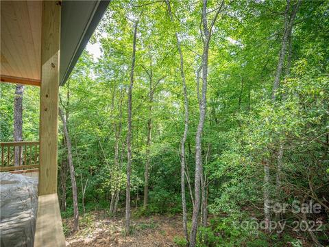 65 Guque Ct, Brevard, NC 28712 photo 25
