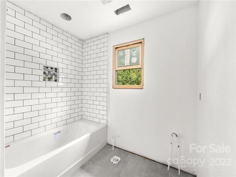 65 Guque Ct, Brevard, NC 28712 photo 23
