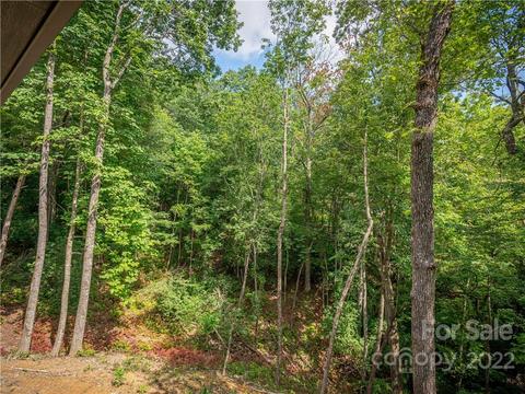65 Guque Ct, Brevard, NC 28712 photo 28