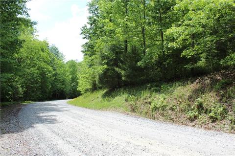 16 Big Branch Rd #16, Brevard, NC 28712
