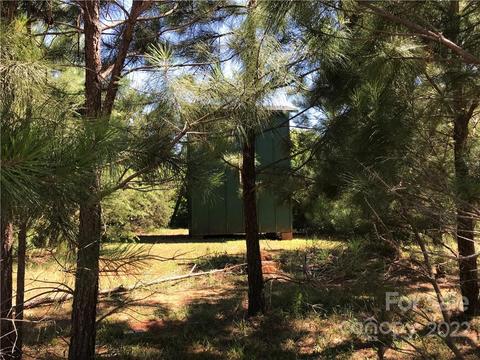 1861 Pearidge Rd, Bostic, NC 28018 photo 14