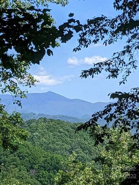 785 Running Deer Ln, Mars Hill, NC 28754