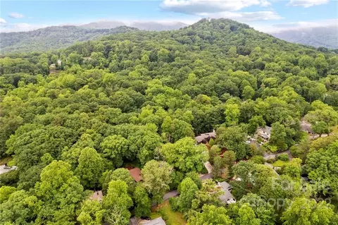 132 Forest Ln, Tryon, NC 28782 photo 5