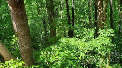 2100 Hogback Mountain Rd, Tryon, NC 28782 photo 16