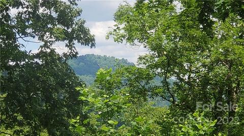 2100 Hogback Mountain Rd, Tryon, NC 28782 photo 5