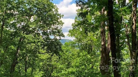 2100 Hogback Mountain Rd, Tryon, NC 28782 photo 6