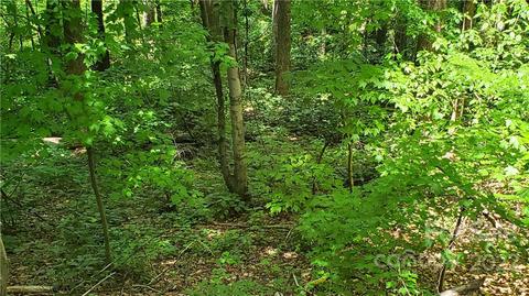 2100 Hogback Mountain Rd, Tryon, NC 28782 photo 14