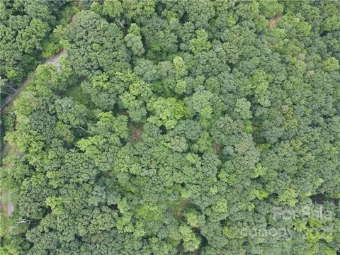 2100 Hogback Mountain Rd, Tryon, NC 28782 photo 17