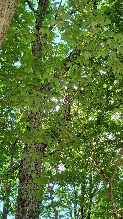 2100 Hogback Mountain Rd, Tryon, NC 28782 photo 12