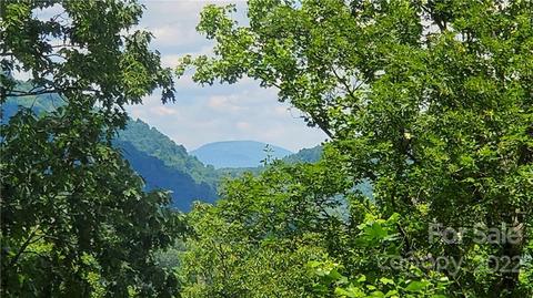 2100 Hogback Mountain Rd, Tryon, NC 28782 photo 4