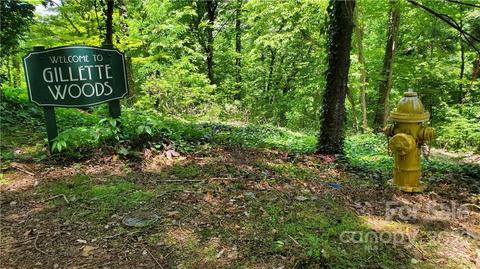 2100 Hogback Mountain Rd, Tryon, NC 28782 photo 9