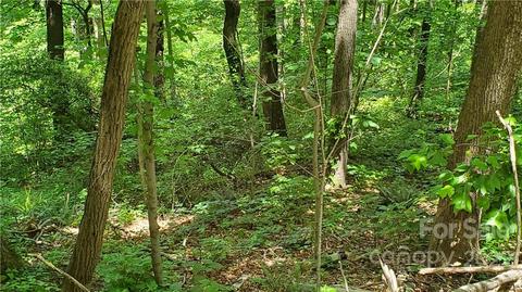 2100 Hogback Mountain Rd, Tryon, NC 28782 photo 15