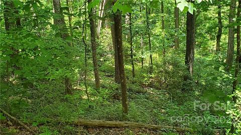 2100 Hogback Mountain Rd, Tryon, NC 28782 photo 13