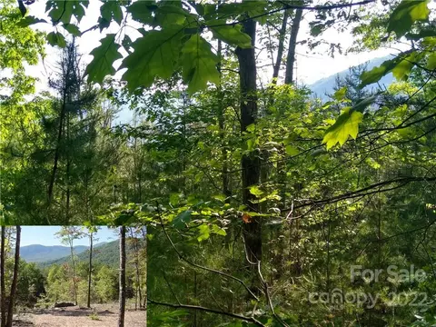 Davids Drive, Lake Lure, NC 28746