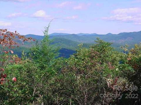 Hickory Nut Lane, Lake Lure, NC 28746