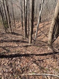 73 Mountain Lookout 73 Dr #73, Bostic, NC 28018