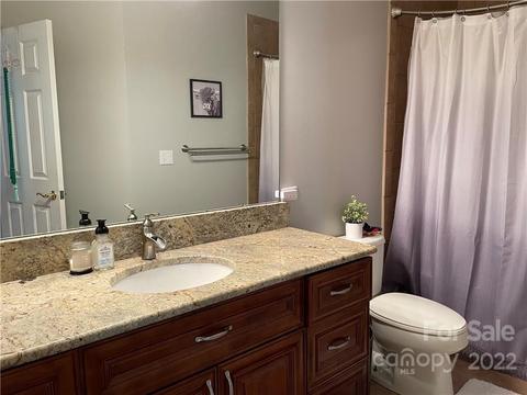 22045 Satilla Dr, Cornelius, NC 28031 photo 17