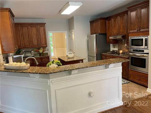 22045 Satilla Dr, Cornelius, NC 28031 photo 8