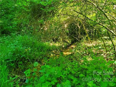 140 Miller Rd, Marshall, NC 28753 photo 24