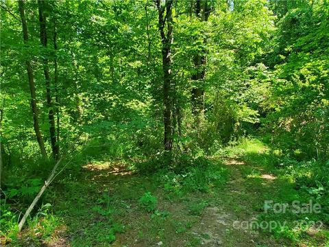 140 Miller Rd, Marshall, NC 28753 photo 25