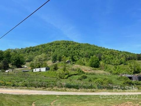 14 Fox Run Rd, Canton, NC 28716 photo 11