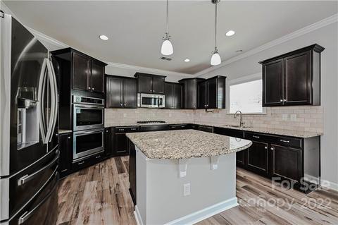 10034 Travertine Trl, Davidson, NC 28036 photo 11