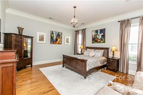 1903 Assembly Row, Cornelius, NC 28031 photo 14