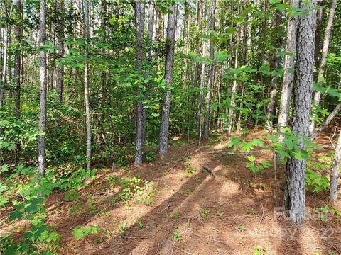 0 Sunset Drive, Mill Spring, NC 28756 photo 8