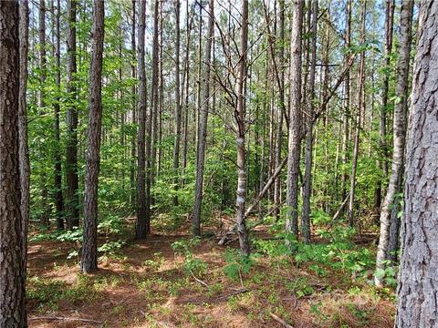 0 Sunset Drive, Mill Spring, NC 28756 photo 9