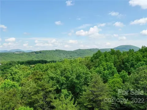 Eastman Place, Mill Spring, NC 28756 photo 7
