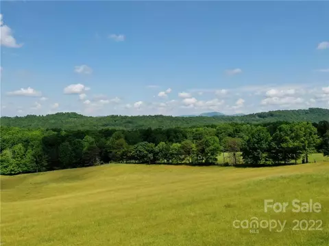 Eastman Place, Mill Spring, NC 28756 photo 10
