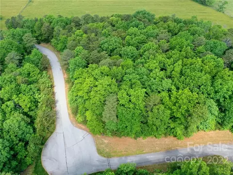 Eastman Place, Mill Spring, NC 28756 photo 6