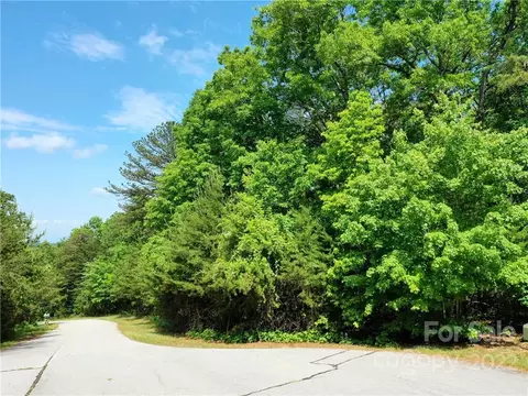 Eastman Place, Mill Spring, NC 28756 photo 5